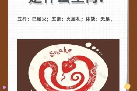 八拜之交指的是哪一生肖？深入解析传统成语背后的动物象征意义
