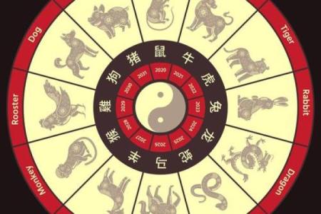 三更到家是什么生肖 三更到家什么生肖最合适