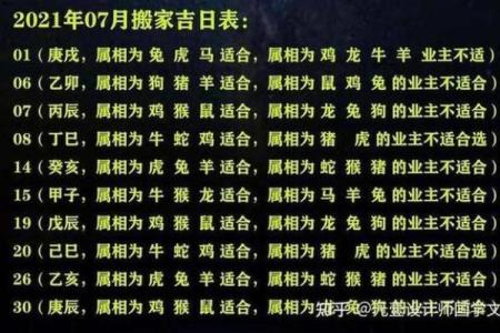 2025年属鼠人全年运势详解，财运和事业运如何提升？