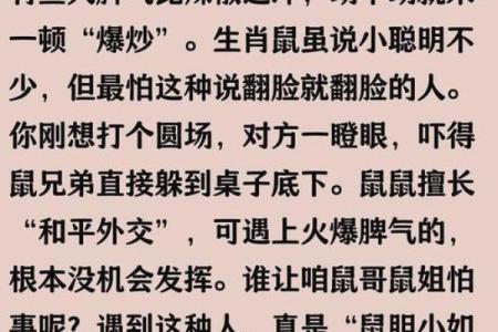 两个老鼠属相的人合不合适 两个老鼠属相配不配