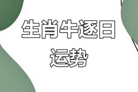 牛年运势2021年运势12生肖(牛年运程2021生肖)