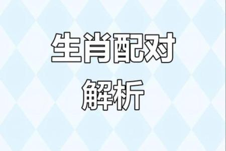 属鸡属兔的属相合不合 属鸡的属兔的合不合