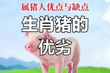 四夷统一作为历史典故与生肖文化的关联解析