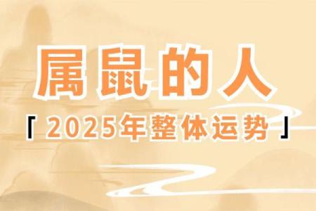 2025属鼠的大忌颜色 2025属鼠大忌颜色 96