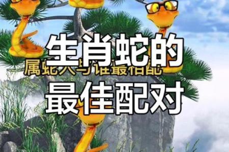 猴蛇属相婚配好不好 男猴女蛇为何说是绝配
