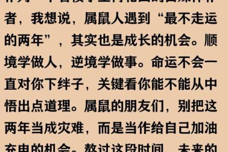 2024年属鼠本命年如何化解太岁？84年出生全年财运健康运势