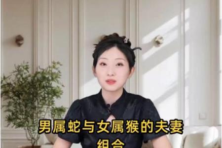 爸爸属猴孩子属蛇合不合 爸爸属猴妈妈属蛇宝宝属鼠好不好