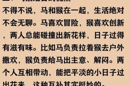 属马与属猴的婚配怎么样 猴和马的属相合不合