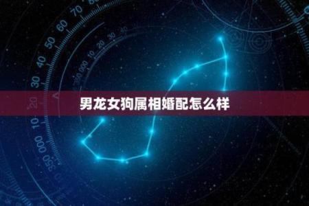 男龙和女狗属相合不合 男龙女狗属相相配吗