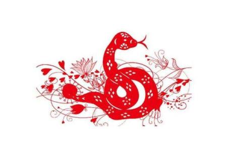 落叶归根打一生肖