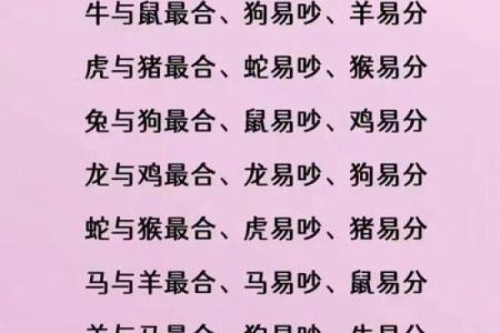 牛和狗属相婚配是否相合？解析生肖配对中的婚姻奥秘