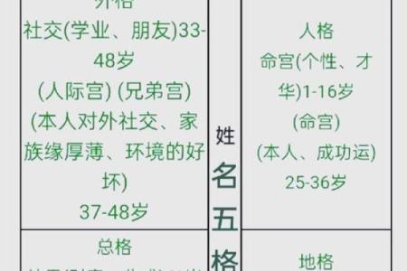 名字五格(名字五格总格属性怎么看)