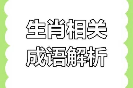 嘴上春风打一生肖？揭秘成语背后的十二生肖正确答案