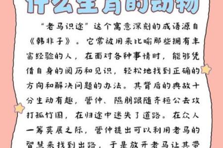 心猿意马指的是什么生肖