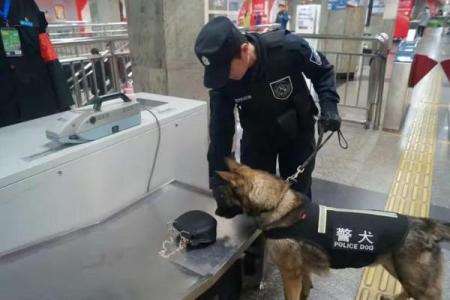 万无一失最佳生肖动物(万无一失是什么意思)