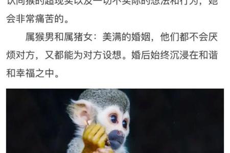 79和81年的属相婚配表 79年和81年相差几岁