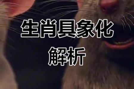 在十二生肖中哪个动物最能代表童叟无欺的诚信品质？
