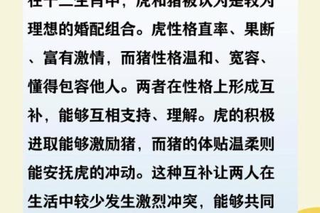 属虎的属相婚配 属虎的属相婚配表大全,属虎的女性和什么属相最配