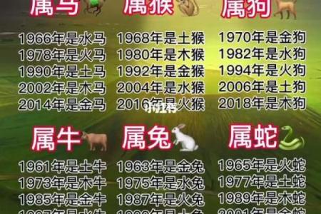 2007年属什么生肖