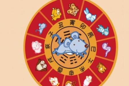 2020年农历庚子鼠年出生是什么命？五行属性详解
