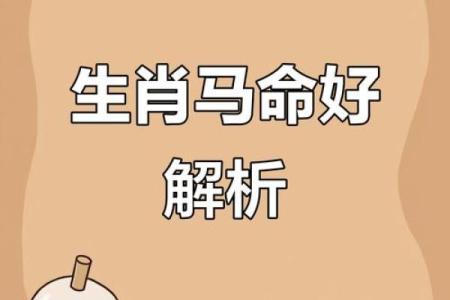 66年属马的大忌颜色 1966年属马忌讳什么颜色