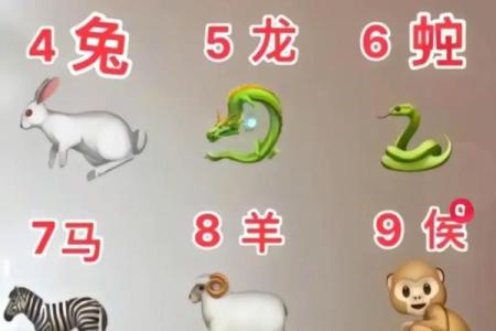 大属相和小属相的区别 十二生肖四大属相哪四个最大