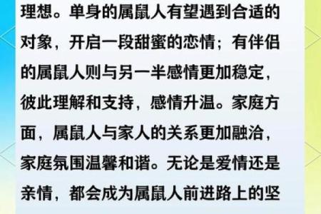 2025年属鼠人全年运势1996年出生，看明年事业转折点与财运机遇指南