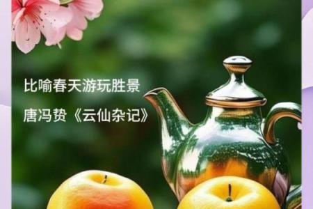 双柑斗酒打一最佳生肖