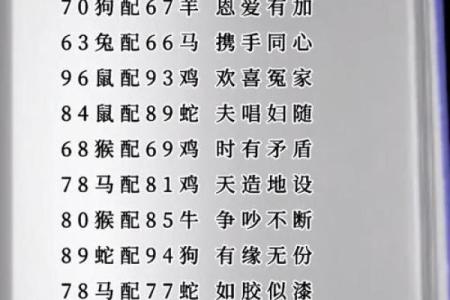 93年出生属什么生肖配对最好 93年出生属什么生肖配对最好婚姻