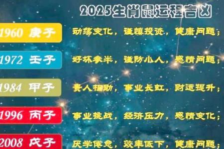 2025年属鼠的全年运势完整版，感情健康需要注意什么？