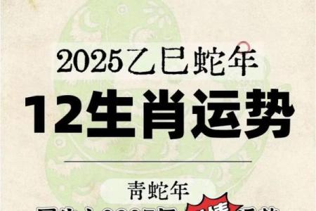 属牛人2019年运势 属牛人2019年运势运程每月运程属牛人