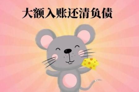 属鼠人今天财运如何有没有偏财机会需要注意什么开支