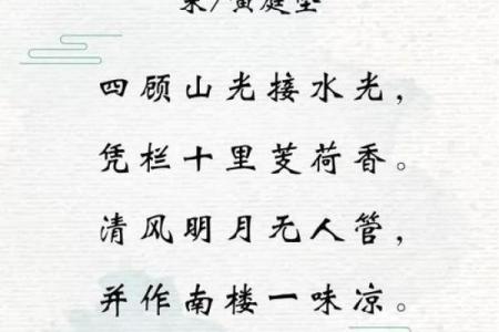 四顾山光接水光是什么生肖(四顾山光接水光是什么生肖百度知道)