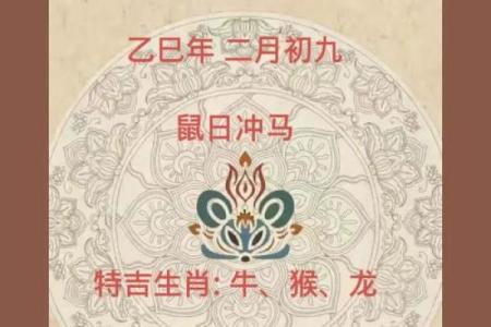 老鼠和马的属相合不合 老鼠和马的属相合不合财