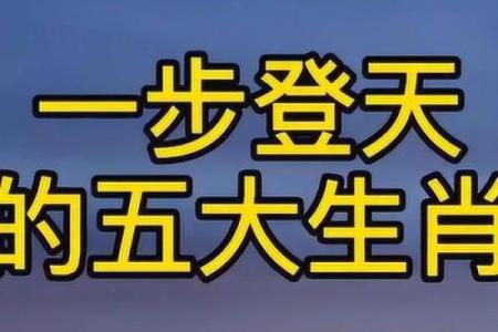 一步登天的生肖正确答案(一步登天是什么意思解释)