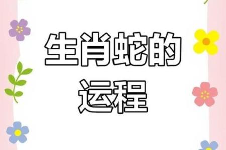 属蛇2019年运势(属蛇2019年运势运程)
