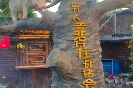 母猪上树打一个生肖 母猪上树打一生肖最佳答案是什么