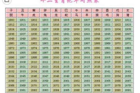 2008年出生的属鼠孩子今年几岁，现在上几年级了？