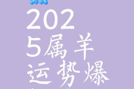 三种属相不能养羊 三种属相不能养羊吗为什么