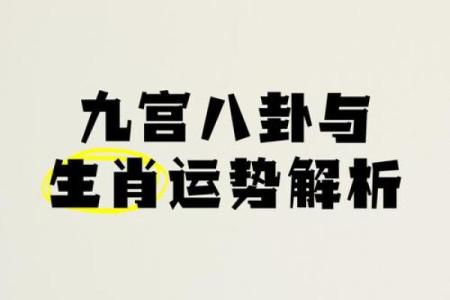 哪个生肖最适合先成家后立业，生肖配对与婚姻事业运势解析？