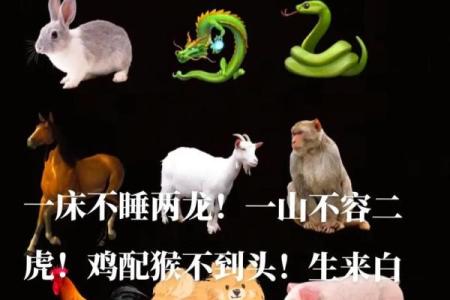 虎女和牛男的属相合不合 虎女和牛男的属相合不合婚姻