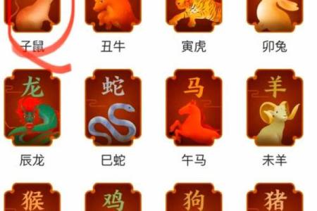 72年出生的生肖鼠今年财运运势详解，需要注意哪些方面？