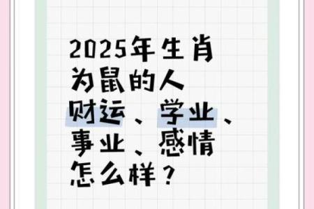 2025年属鼠的人需要特别警惕身边哪类小人