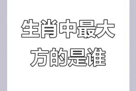 如何理解出乖露丑的含义及其对应的生肖动物特征？