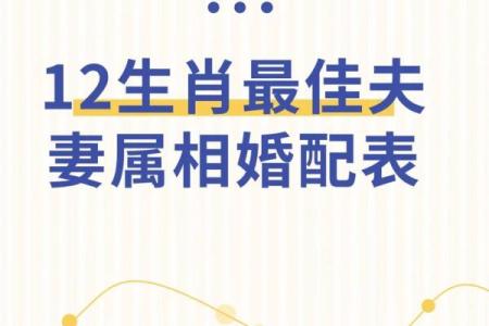 80年最佳婚配属相 80年属什么婚配