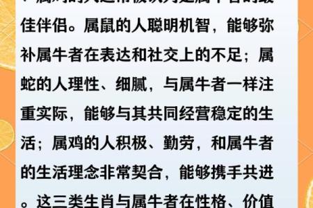 属牛97年男孩最好的婚配 97年属牛的男孩配什么女孩