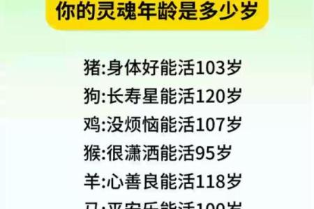 十二生肖中排行第一的大哥究竟是指哪个生肖动物呢