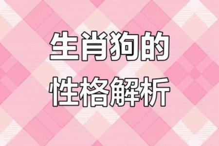 82年狗最佳婚配属相 82年狗最佳婚配属相女