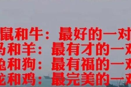 男羊女龙的属相合不合 男羊女龙属相配婚姻如何