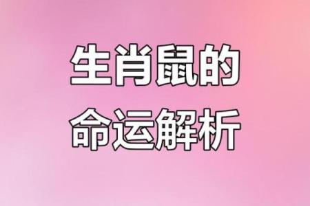 2024年60年出生属鼠者每月财运健康事业感情全面运势分析
